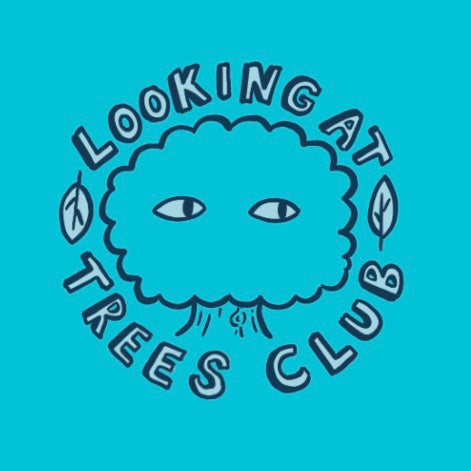 Looking at Trees Club - Sticker