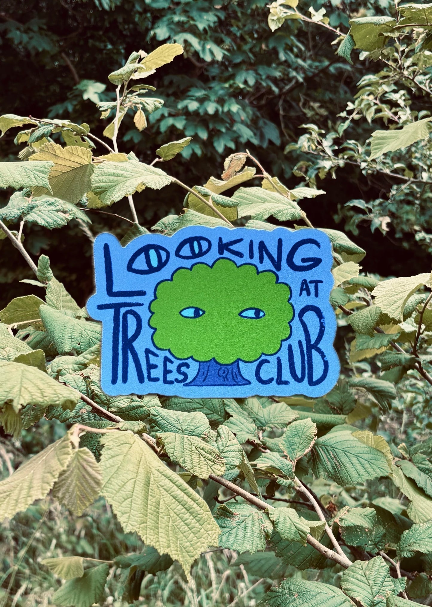 Looking at Trees Club - Sticker