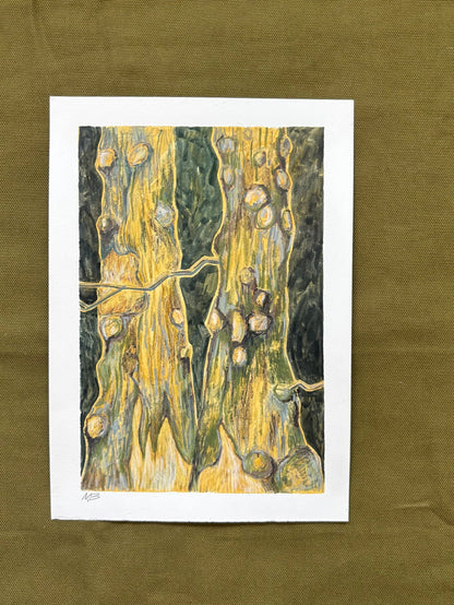 A Beautiful Pair - Mixed Media, 24cm x 17cm
