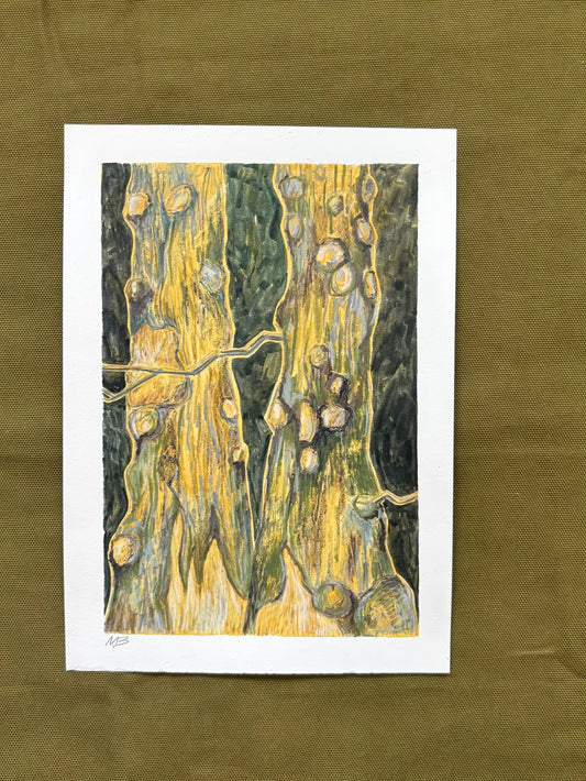A Beautiful Pair - Mixed Media, 24cm x 17cm
